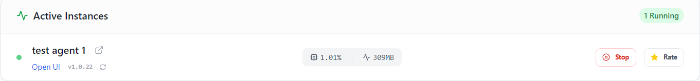 Active Instances with Metrics